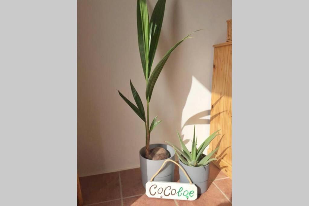 Casa Cocoloe Lajares别墅 外观 照片